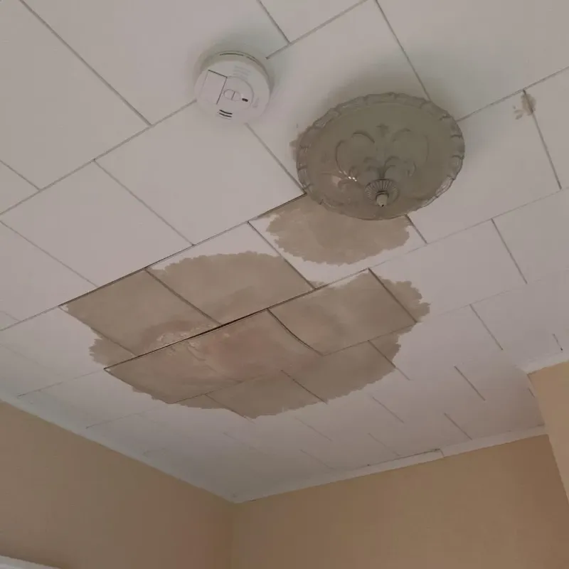 Ceiling Water Damage Repair in Glasgow Village, MO