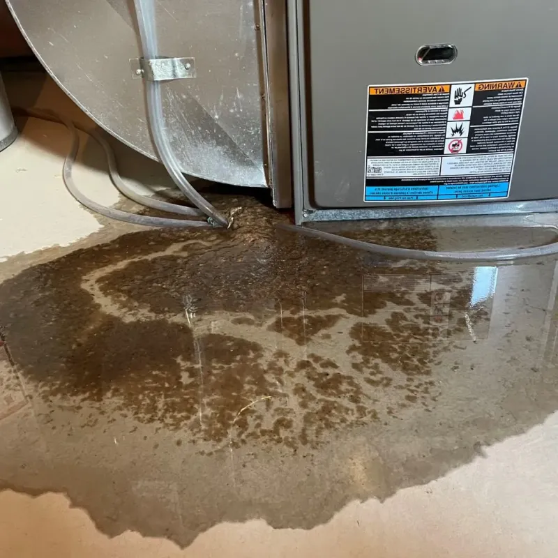 Pipe Burst and Leak Restoration in Glasgow Village, MO